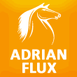 Adrian Flux Insurance Services